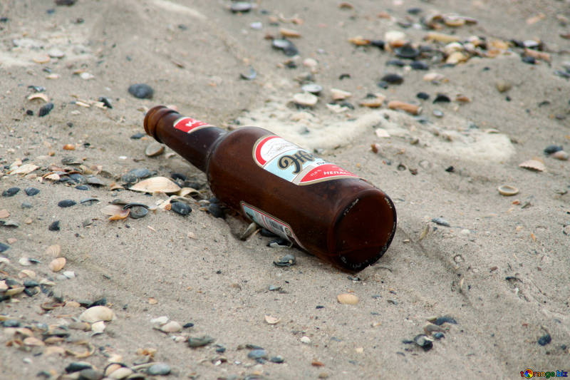 Free picture (Beer on the beach) from https://torange.biz/beer-beach-13669