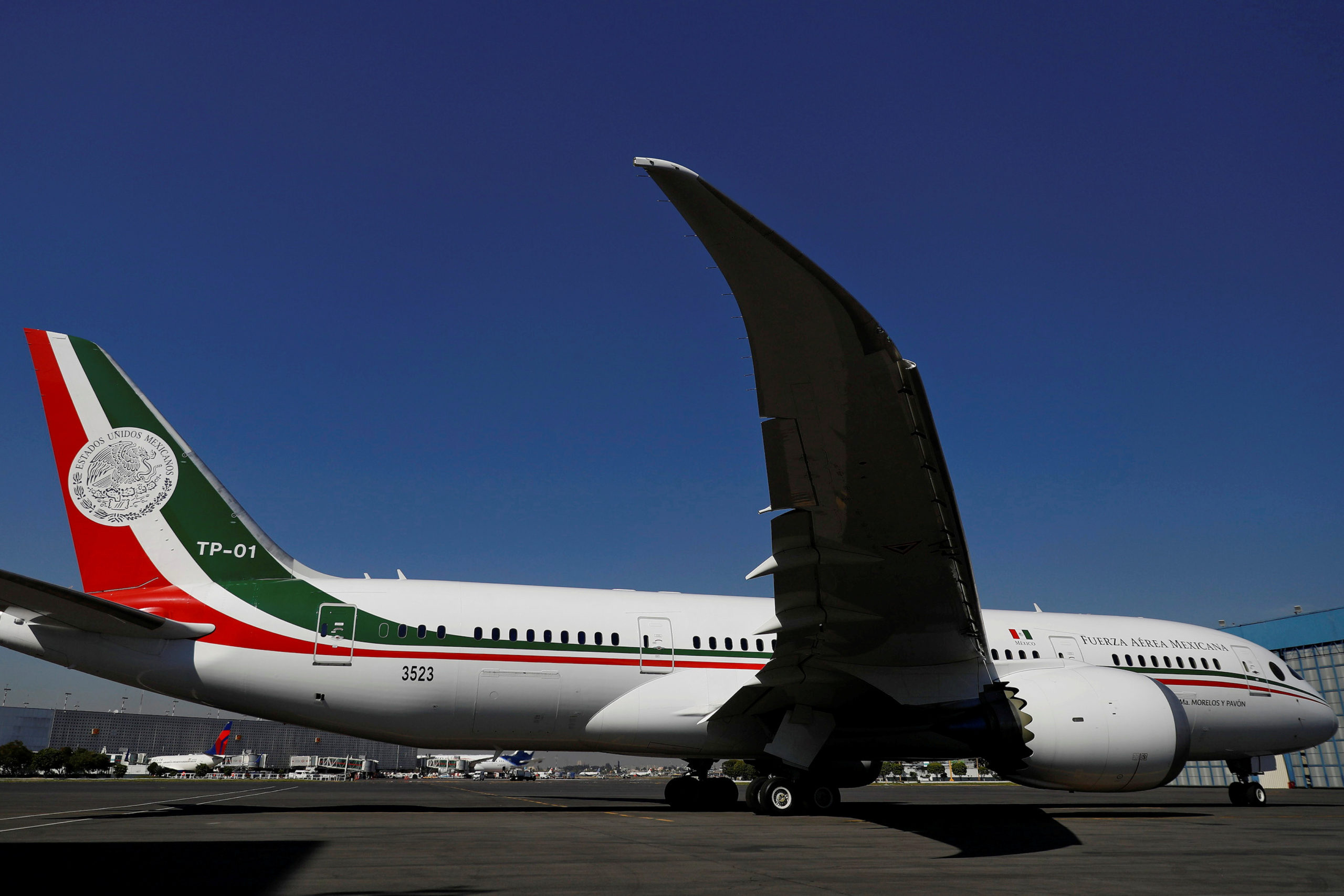 FILE PHOTO: Mexican Air Force Presidential Boeing 787-8 Dreamliner is pictured at a hangar before being put up for sale by Mexico's new President Andres Manuel Lopez Obrador, at Benito Juarez International Airport in Mexico City, Mexico December 3, 2018. REUTERS/Edgard Garrido/File Photo