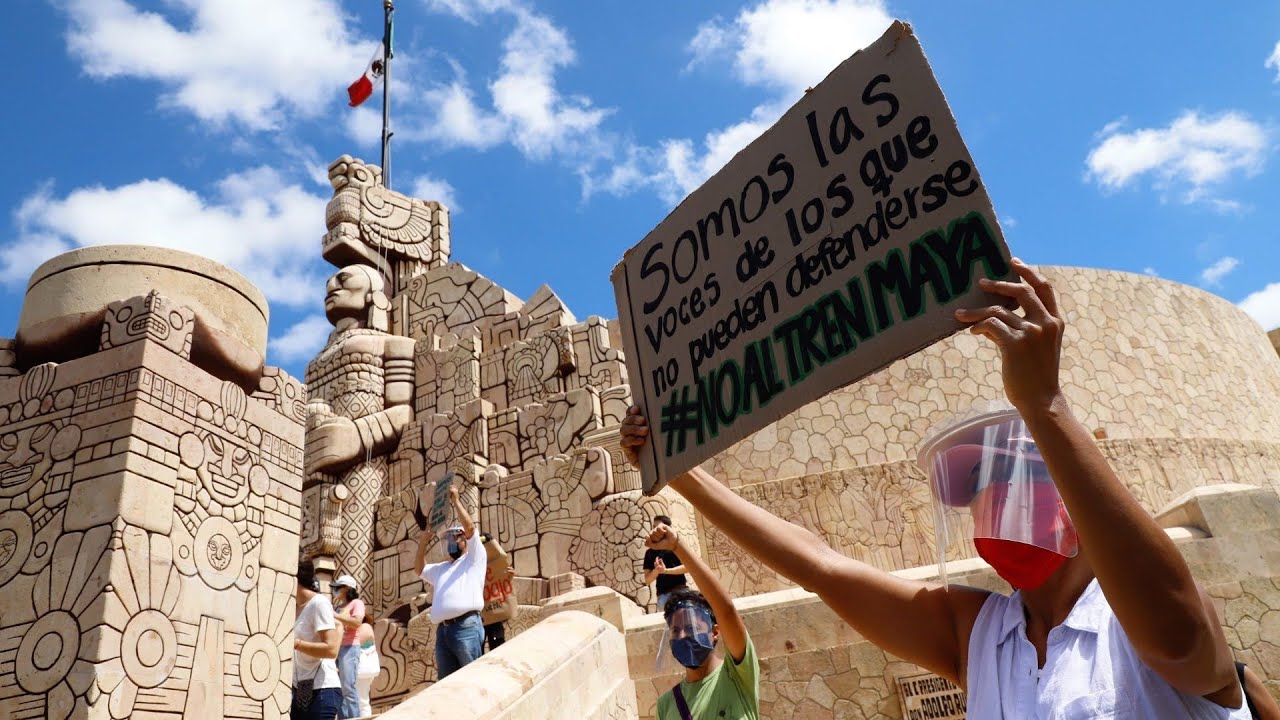 Fonatur advierte sobre destrucción de flora y fauna por Tren Maya - Fonatur advierte sobre destrucción de flora y fauna por Tren Maya -
