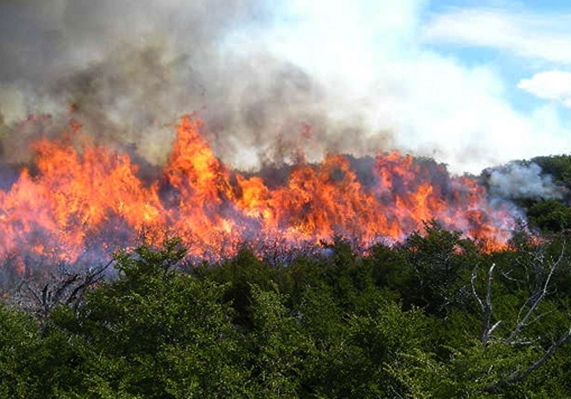 G12041147.JPG
MÉRIDA, Yuc.-Incendio-Yucatán. Alrededor de 390 incendios se han registrado en Yucatán resultado de las altas temperaturas, así lo dio a conocer el secretario de Desarrollo Urbano y Medio Ambiente, Eduardo Batllori. EGV. Foto: Agencia EL UNIVERSAL.